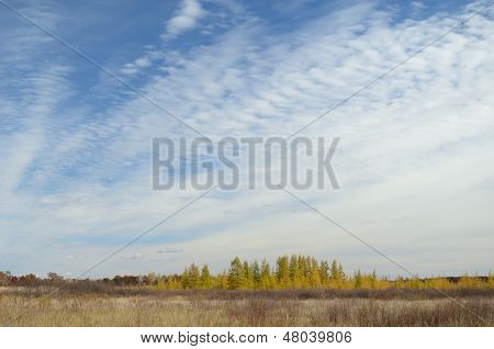 Wolken Abovetamaracks im Herbst