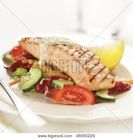 Letuce Tomato 和黄瓜烤三文鱼牛排