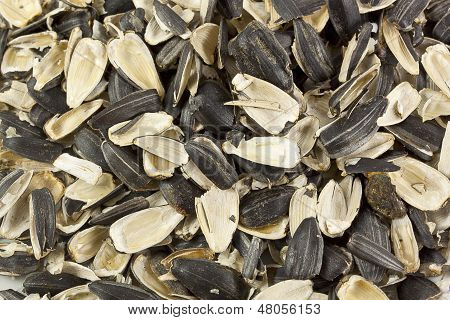 Coquilles vides de graines de tournesol