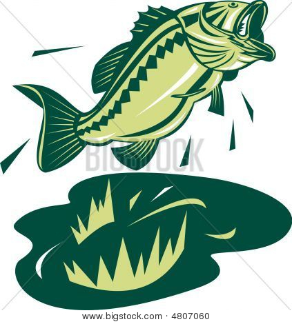 Bas largemouth