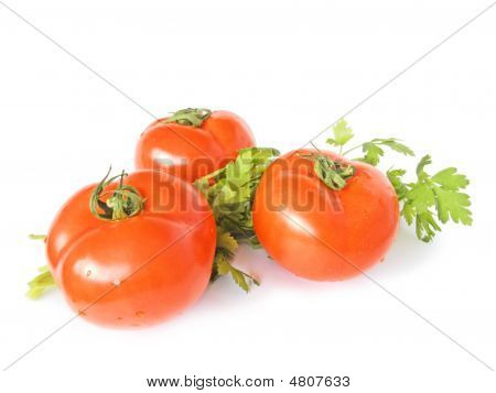 Pomodori di albero