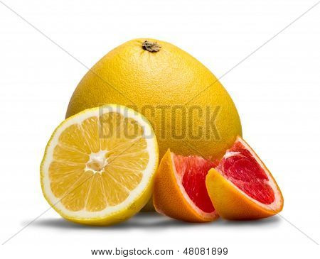 Fruits