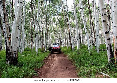 Riding ATV on the Aspen Trail