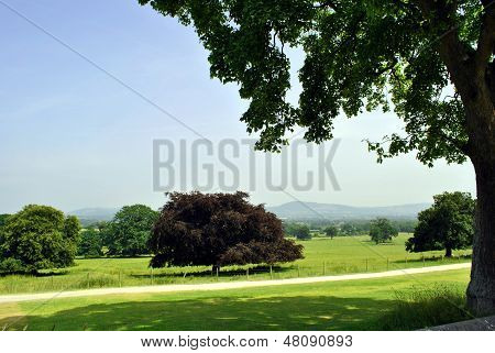 Welsh platteland