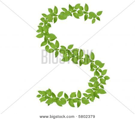 Grön växt, bokstaven 