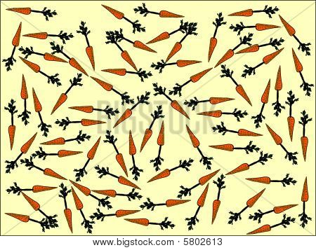 modèle de carottes