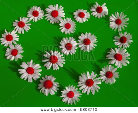 แห่งเวอร์ฟิลด์บนพื้นหลังสีเขียว