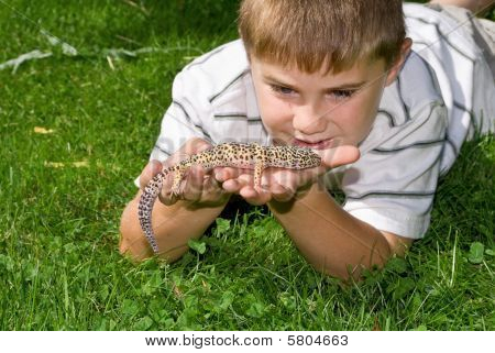 Pet firben