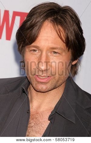 David Duchovny  at the 