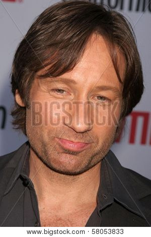 David Duchovny  at the 