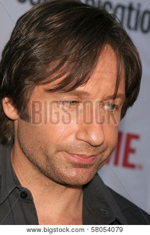 David Duchovny  at the 