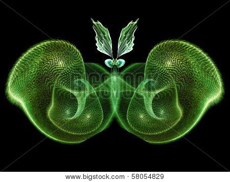 Butterfly Visualization