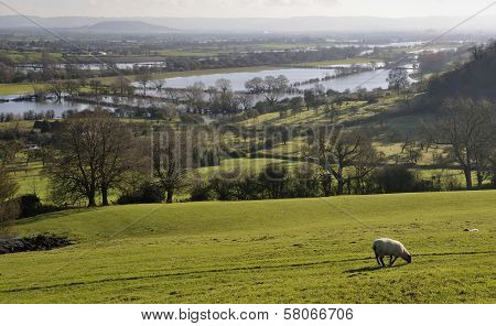 Severn Vale floods