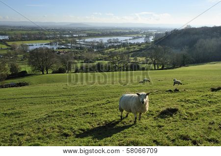 Severn Vale floods