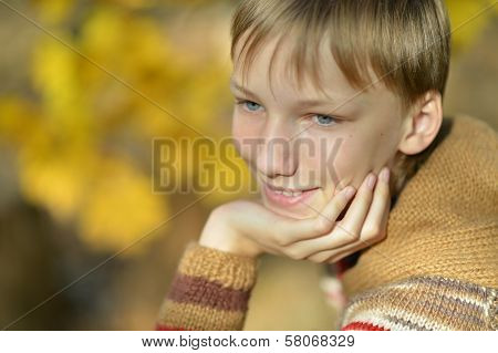 Young boy in autumn park