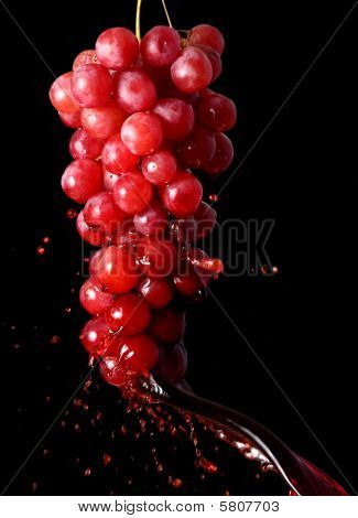 Vino3