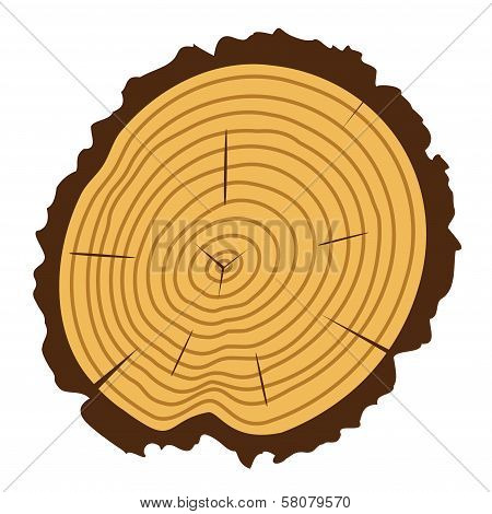 Vector Wooden Cut Of A Tree Log