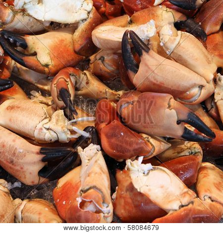 Seafood
