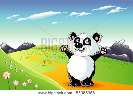 Panda on grass