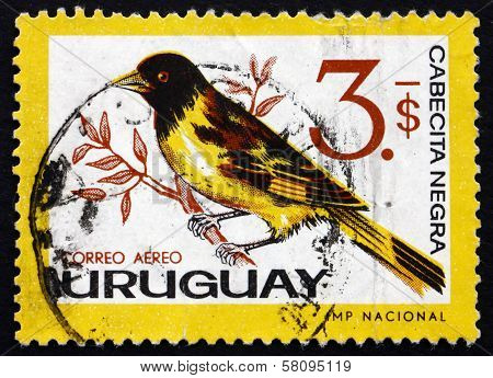 Postage Stamp Uruguay 1963 Hooded Siskin, Passerine Bird