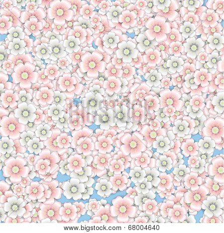 Background of pink and white cherry blossoms.
