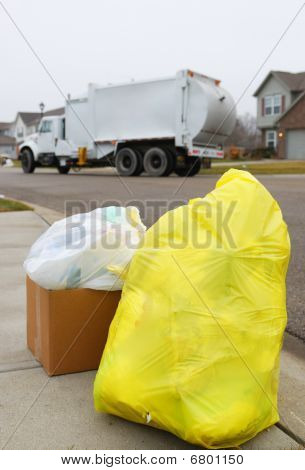 día de la basura