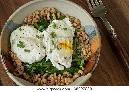 Poached Eggs