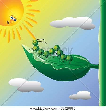 Caterpillar On The Sun