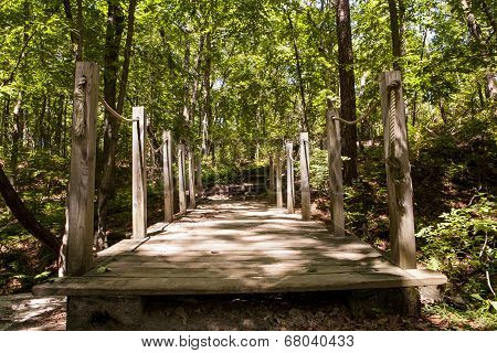 Foot Bridge