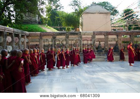 Tibetan Buddhist Monks And Neophytes  Linie Up