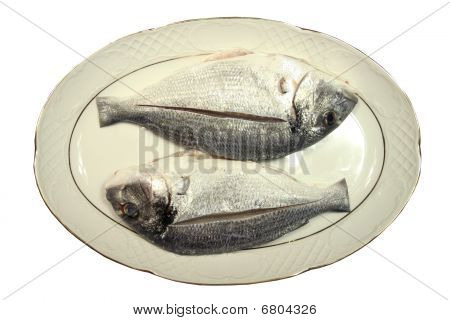 two fish in plate