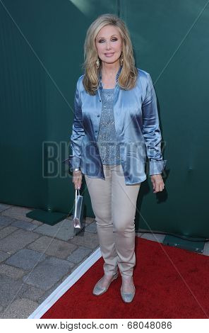 LOS ANGELES - JUL 08:  Morgan Fairchild arrives to the Hallmark's 