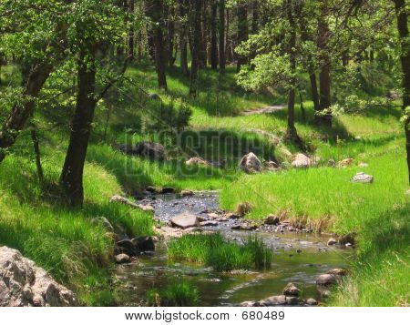 Petit ruisseau