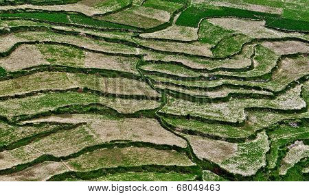 Ranch Pattern