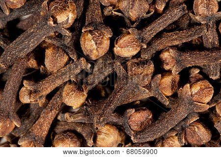 Texture Of Cloves Captured From Above