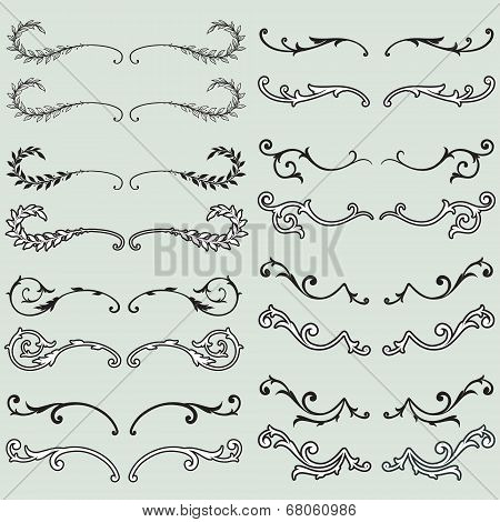 Floral divider and borders