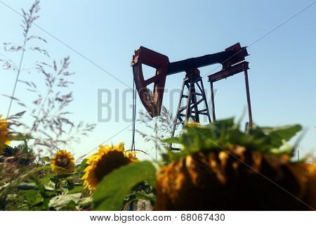 Oil Pump Jack
