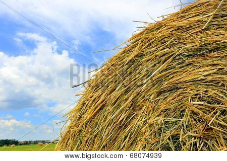 hay stack close-up on cloudy sky background