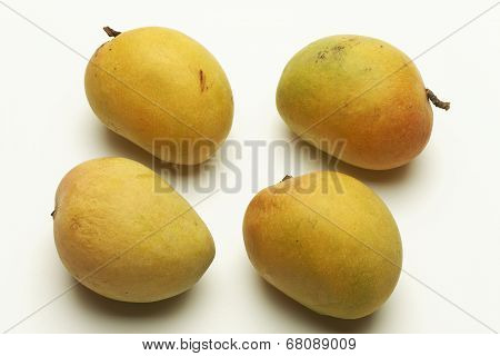 Alphonso mango from Maharashtra India.