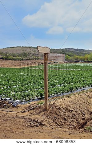 farm