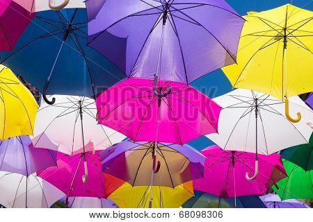 Umbrellas