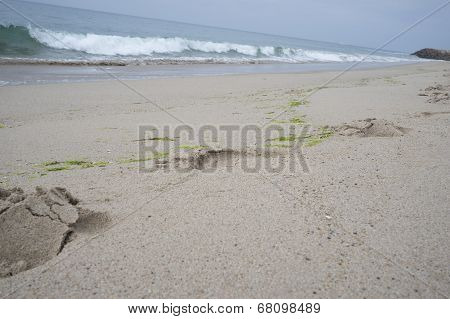 Footprints in the Sand