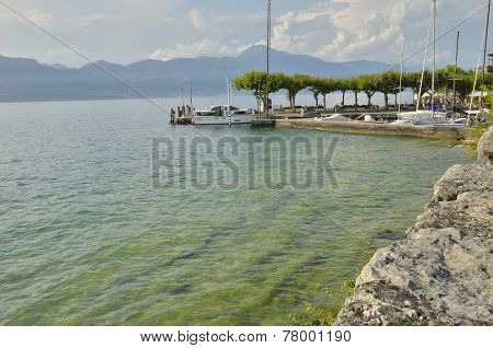 Shore Of The Lake
