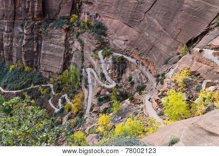 Switchback Hiking Trail