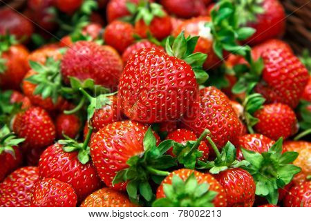 fresh ripe strawberries
