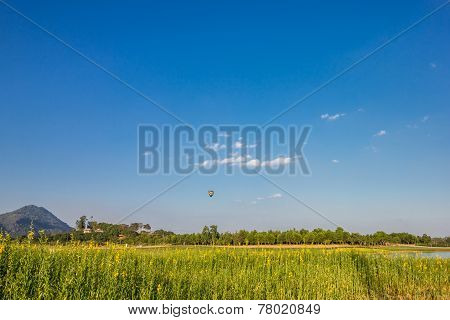 Hot Air Balloon Over Yellow Flower