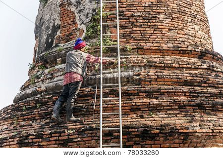 Worker At Temple Area In Ayutthaya Climbing A Stupa