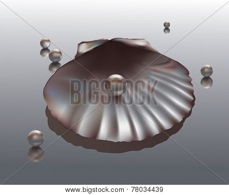 Shell on mirror