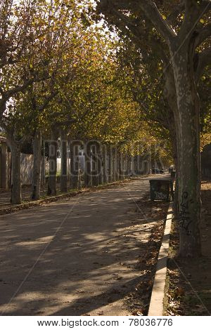 Paseo station Benicarlo