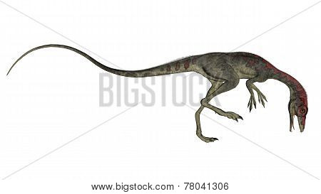 Compsognathus dinosaur walking - 3D render